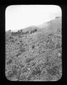 Prairie schooner crossing the mountains