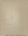 Architecture and Allied Arts, Art Work [5] (verso)