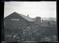 Crowd viewing elk loaded in a boxcar