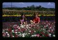 Two girls looking at verbena, basil, marigold, and zinnias, Southern Oregon Experiment Station, Medford, Oregon, circa 1972