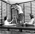 Recorder's Office staff in vault with deed books