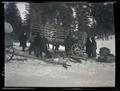 Lifting elk crates off wagons