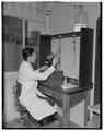 Faculty member using laboratory equipment in Withycombe Hall, April 1952