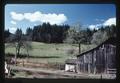 Old barn and sheep pasture west of Philomath, Oregon, 1978