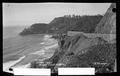 Looking North West from Highway 101 at Heceta Head Lightstation