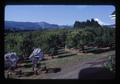 Orchard, Mid-Columbia Experiment Station, Hood River, Oregon, 1979