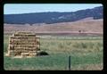 Baled haystacks, Baker County, Oregon, circa 1971