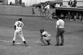 Tim Lambert at the plate