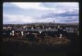 Cattle at C and B Livestock, Inc feeding service, near Hermiston, Oregon, 1966