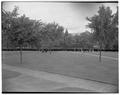 Commencement Processional, June 1953