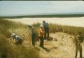 Removing dune grass, probably Youth/Adult Conservation Corps group