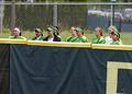 2013 NCAA softball regional