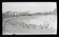 Ducks at Lake Merritt