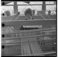 Home Economics student at a loom in the clothing and textiles research lab, February 1964