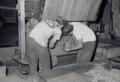 Two Workers Closing Burlap Hop Bale 11