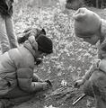 Two women arranging twigs on the ground