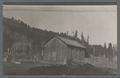 Cabin in a forest, circa 1910