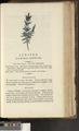 A New Family Herbal or Familiar Account of the Medical Properties of British and Foreign plants also their uses in Dying and the Various Arts arranged according to the Linnaean System [p881]