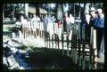 Agronomy Meeting salmon barbecue at Avery Park, Corvallis, Oregon, 1965