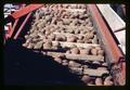 Potatoes on elevator of potato harvester, Oregon, circa 1971