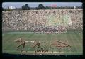 Oregon State University Marching Band in Horse and Chariot formation at OSU vs Stanford game, Palo Alto, California, circa 1970