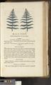 A New Family Herbal or Familiar Account of the Medical Properties of British and Foreign plants also their uses in Dying and the Various Arts arranged according to the Linnaean System [p915]