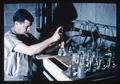 Barnacles as crab food experiment at Marine Science Laboratory, circa 1965