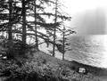 Picknickers on the shore of Diamond Lake