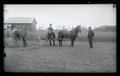 Men forking hay and a horse pulling a hay rake on the college farm, OAC class of 1889