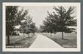 Campus view looking west from lower campus, 1922