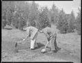Forestry students in the field, April 13, 1950