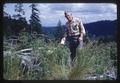 Robert Every releasing tansy ragwort parasites, 1966