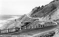 Redwood Highway