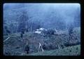 Hill tribe village, northern Thailand, 1960