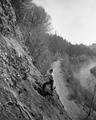 Climbers scaling cliff