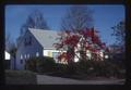 Tree in front of Judge Richard Mengler's home, Corvallis, Oregon, January 1977