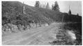 Road with hillside and snags