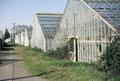 Chase Gardens Greenhouses (Eugene, Oregon)