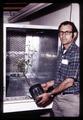 Porter Lombard putting seedlings in inoculating chamber, Southern Oregon Experiment Station, Medford, Oregon, February 1970