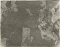 Benton County Aerial 1216, 1936