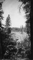 Metolius River