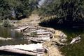 Dam (Applegate Valley, Oregon)