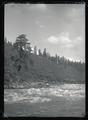 Rapids on the Klamath