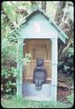 Bear in outhouse, 7 ft. house