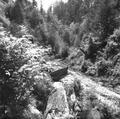 Lutsinger Creek after debris cleared