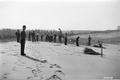 Men planting dunes