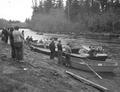 McKenzie River guides