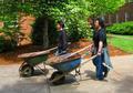 University Day wheelbarrows