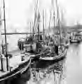 1308 Yaquina Bay Fishing Boats 26 Aug 1956
