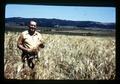 Wilson Foote in Benton barley field, Rickreall, Oregon, circa 1972